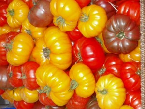 Tuesday could be toasted tomato sandwich day